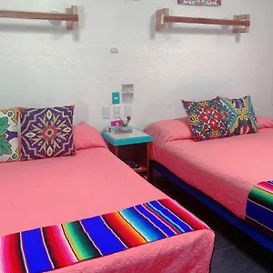 Apartment Beautiful & Cozy In Paradise-wifi, Ac, Akumal